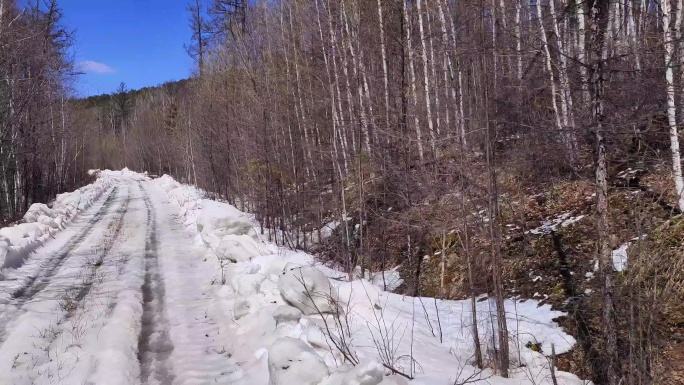 行驶在崎岖颠簸的森林雪路上