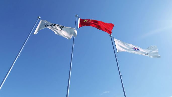 华北电力大学旗帜