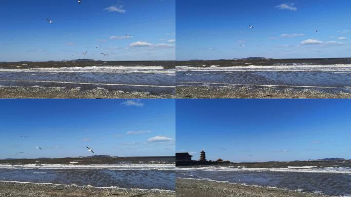 海鸥自由飞翔海面海浪大自然治愈