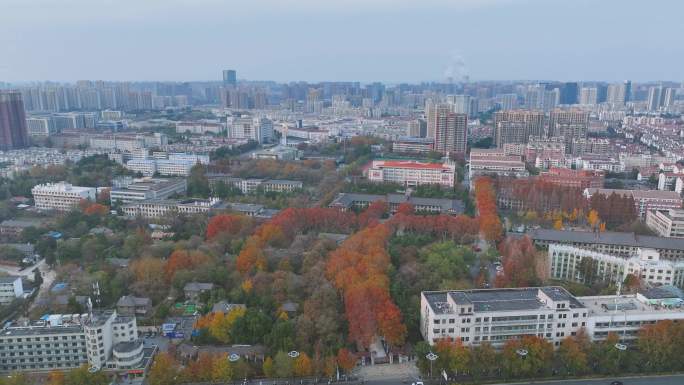 安徽农业大学 航拍 城市  大学 宣传片