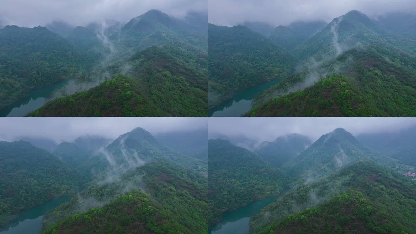 航拍雨后山林延时