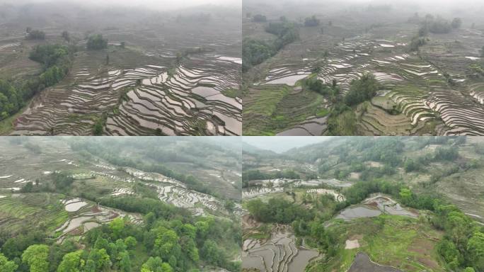 航拍元阳哈尼梯田箐口景区