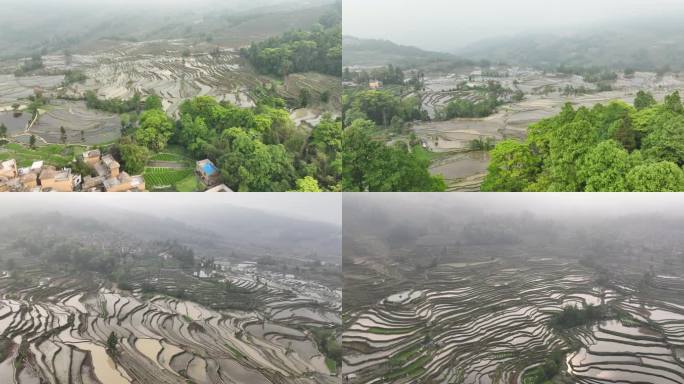 航拍云雾缭绕元阳梯田景区