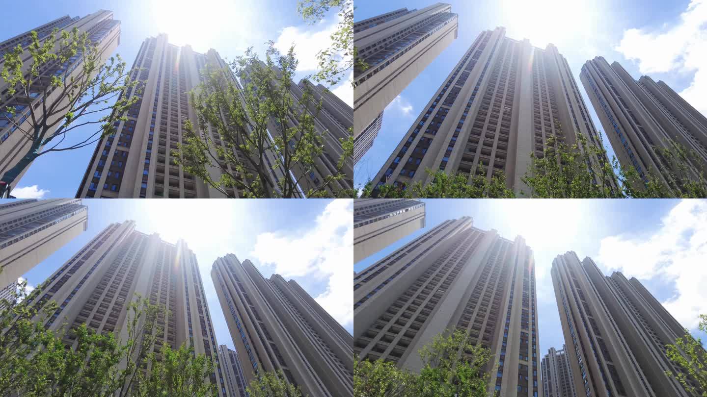 城市的树枝阳光高楼大厦大气空镜头