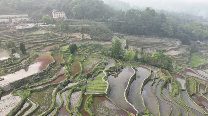 航拍元阳梯田景区