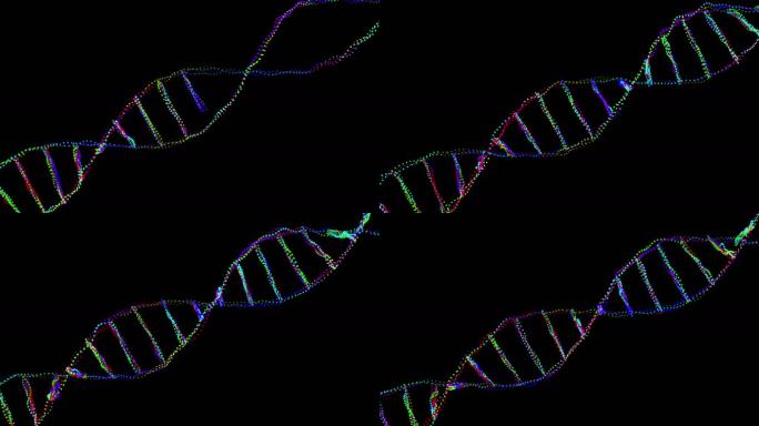 DNA粒子生长螺旋动画