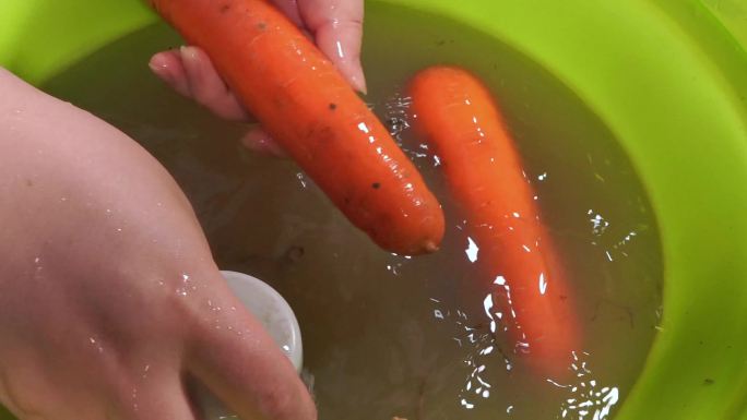 刷洗胡萝卜上的泥 (1)