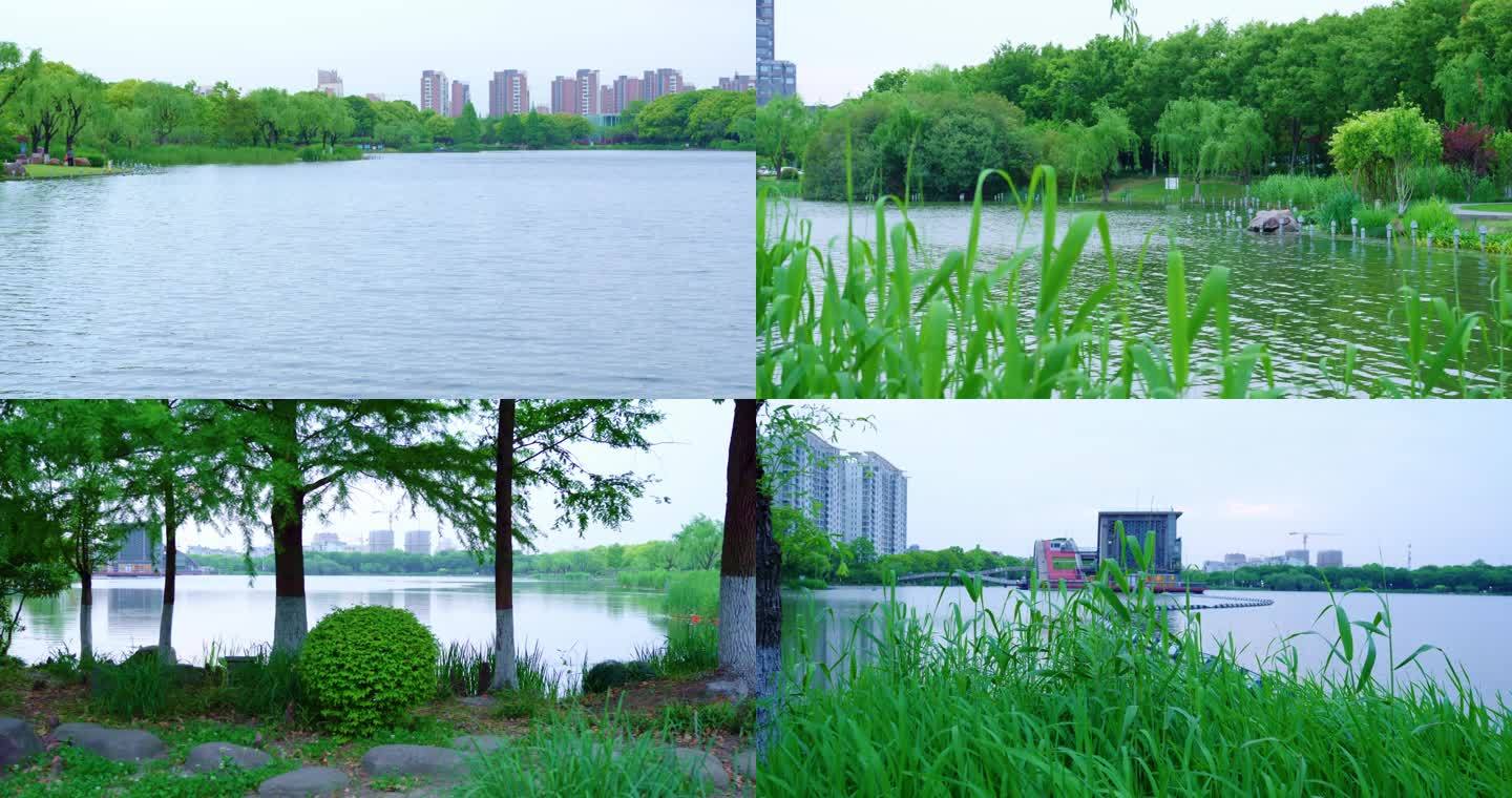 上海青浦夏阳湖