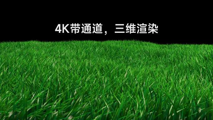 5K三维草地2