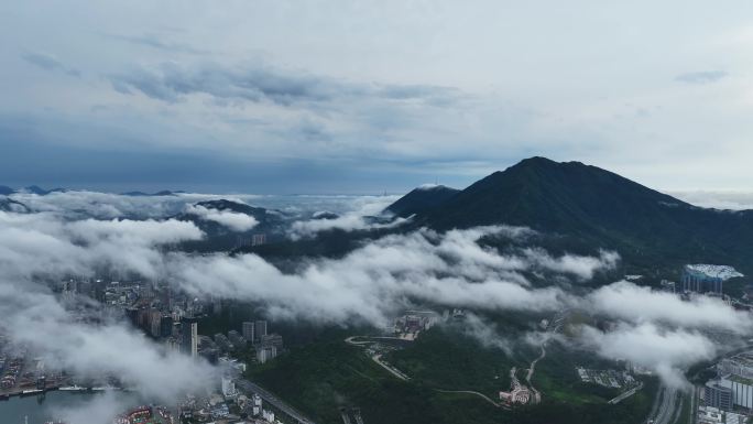 航拍深圳盐田区盐田港