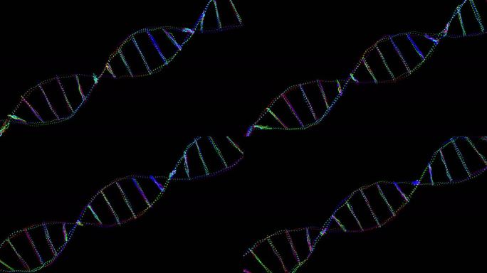 DNA螺旋动画 DNA DNA链 基因链