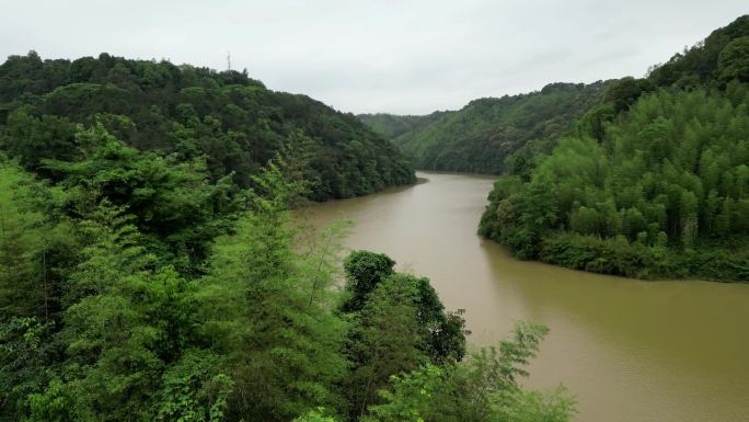 河流生态俯瞰雨后喝水浑浊