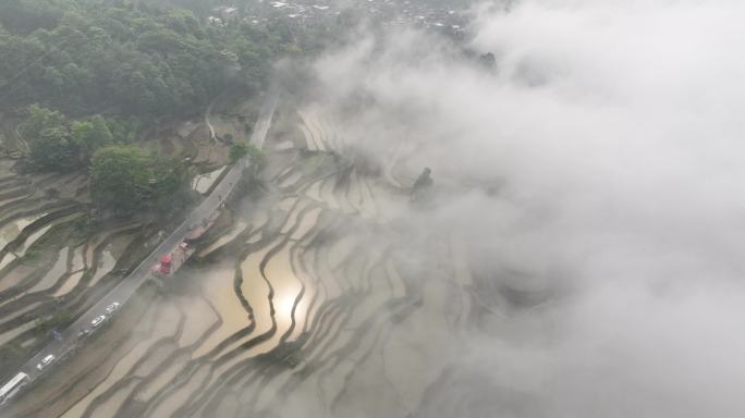 航拍云雾缭绕元阳梯田景区