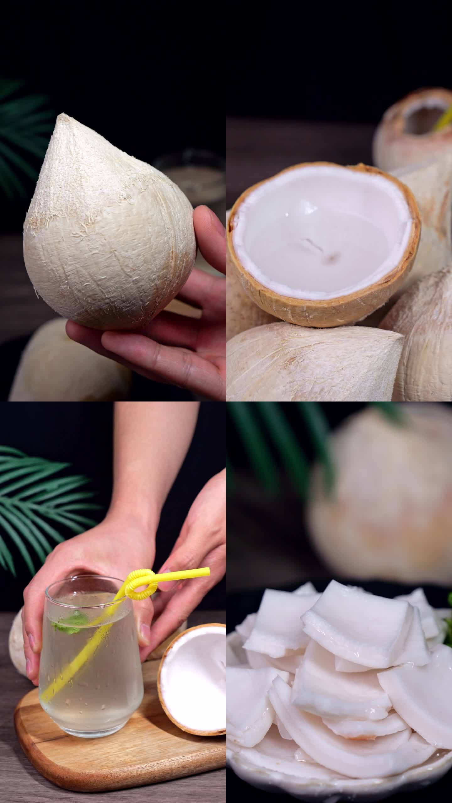 【椰子的种类】椰子品种有哪些