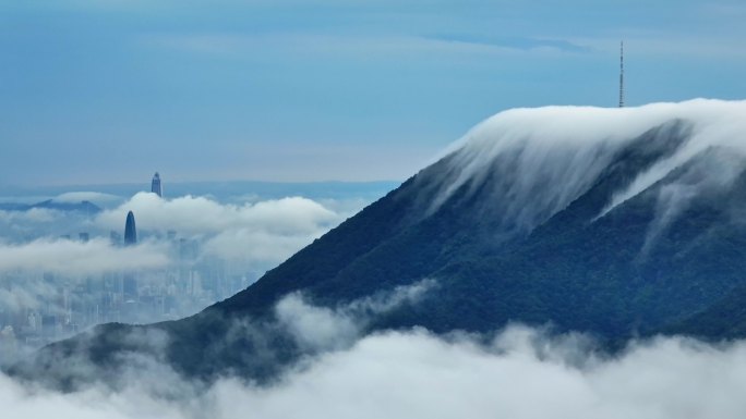 航拍深圳盐田区盐田港