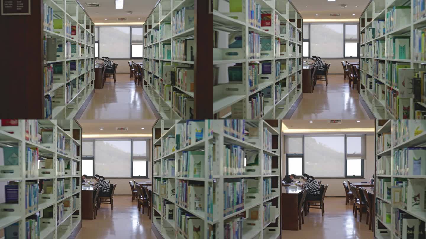 【4k】 图书馆 看书学习
