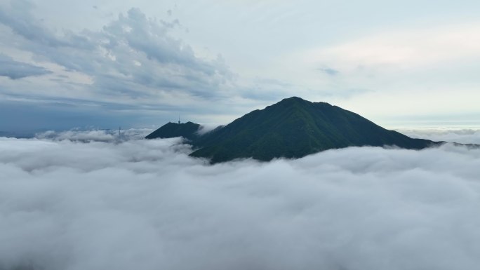 航拍深圳盐田区盐田港