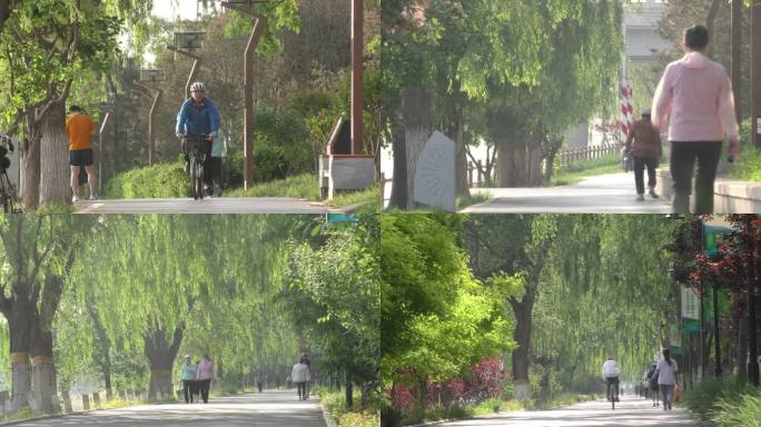 骑行骑车退休生活健康生活有氧运动公园跑步