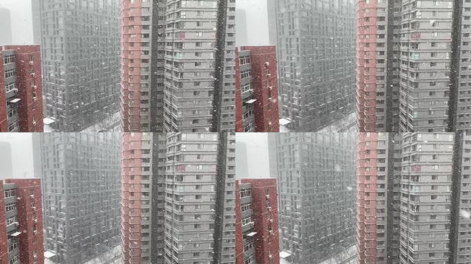 冬季大雪慢动作楼宇间飞舞