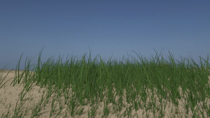环境保护-固沙毯沙漠植草生长动画效果