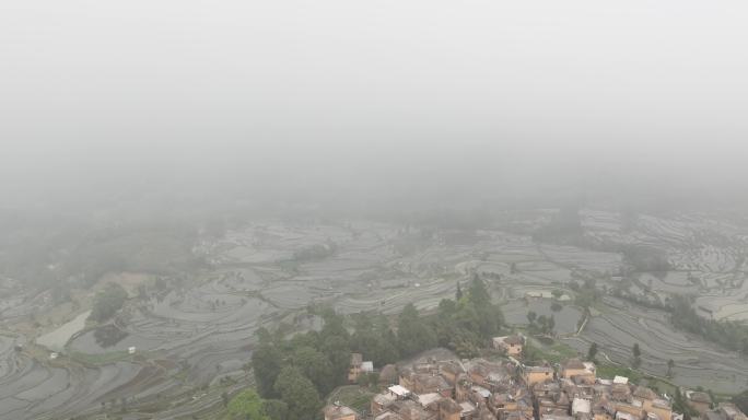 航拍元阳哈尼梯田箐口景区