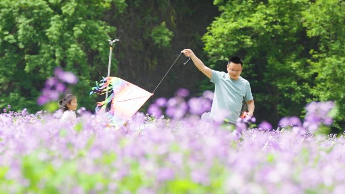 父亲节六一儿童节爸爸和女儿放风筝郊游踏青