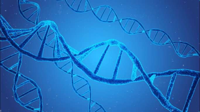 DNA螺旋修复生长