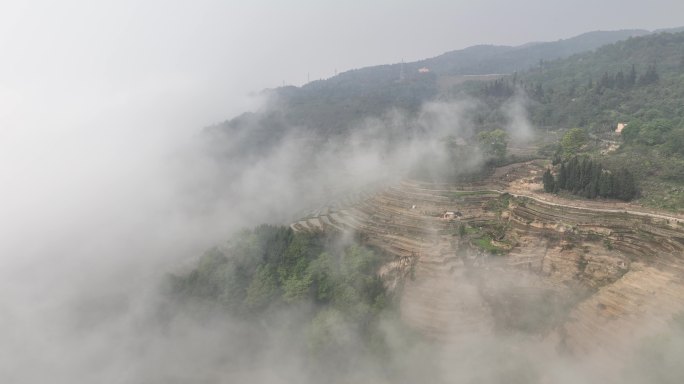 航拍云雾缭绕元阳梯田景区