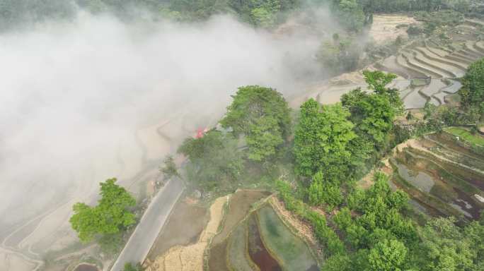 航拍云雾缭绕元阳梯田景区