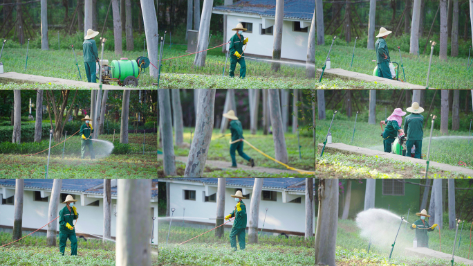 绿化养护人员给花草绿植喷洒水浇灌花草
