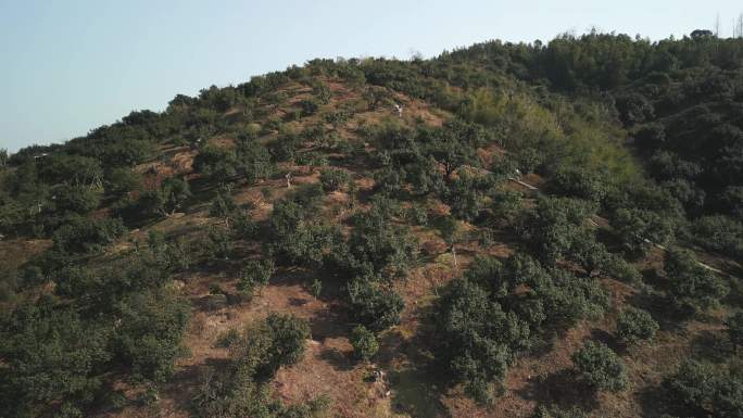 登山健身徒步航拍