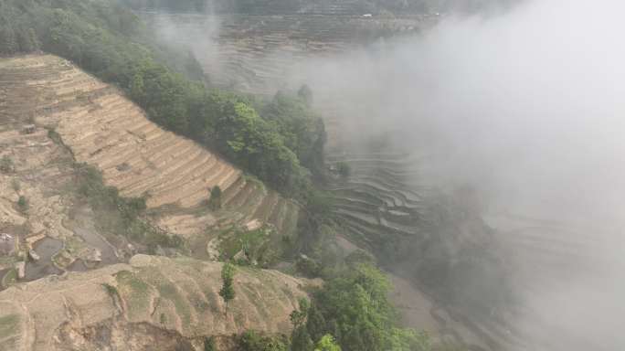 航拍云雾缭绕元阳梯田景区