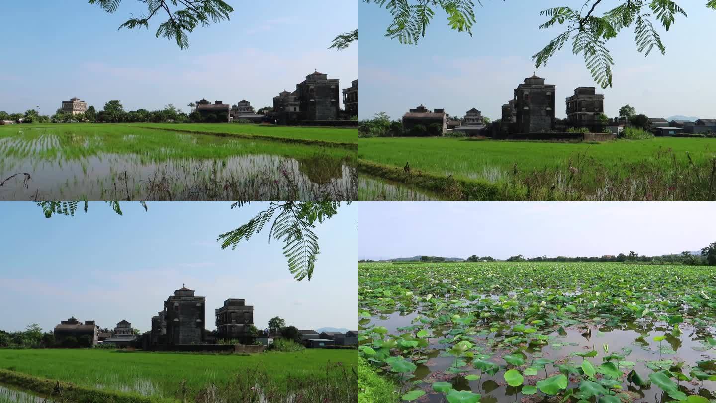 江门台山浮月村碉楼