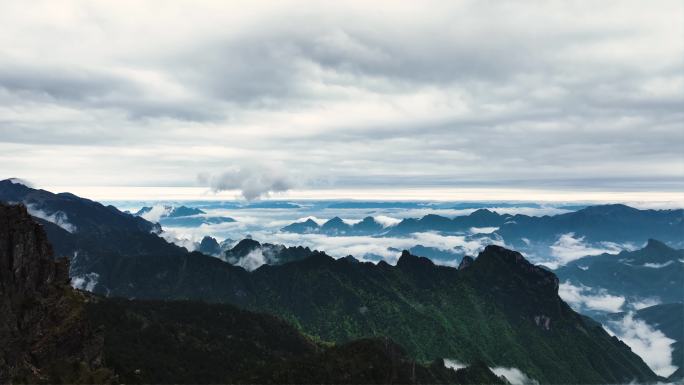 云海森林大自然瀑布流水树木原始森林氧吧