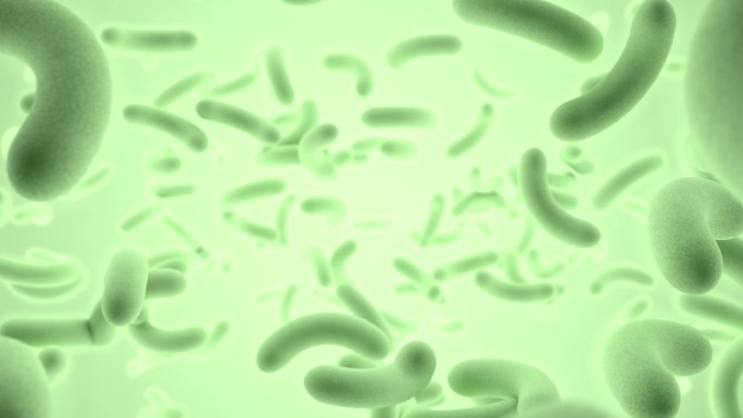 益生元 细胞 绿色