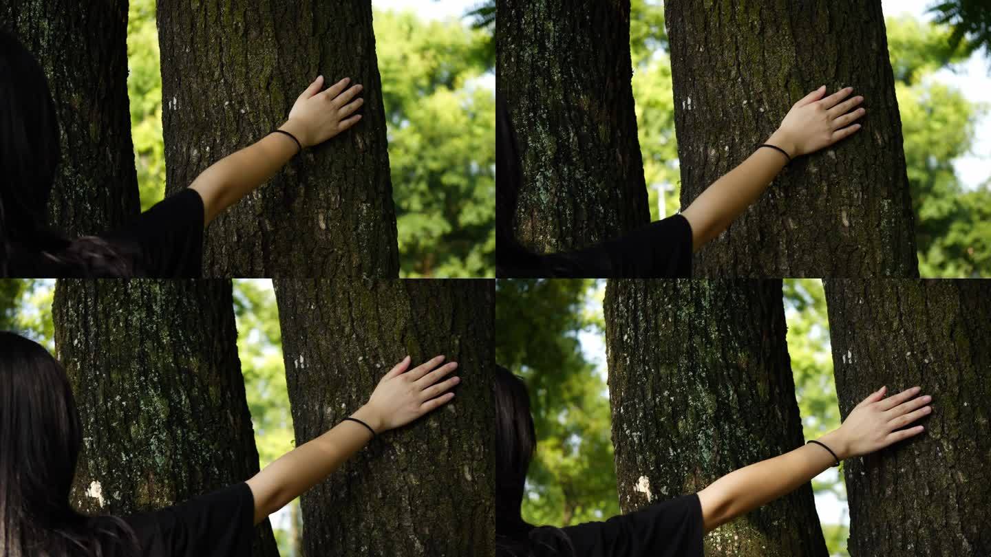 手 抚摸 树木
