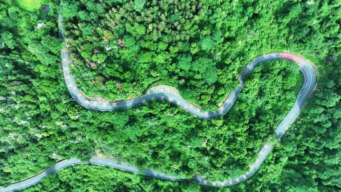 【4K视频】森林盘山公路