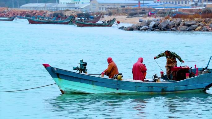 青岛 渔船 大海捕捞海参 原声 4K素材