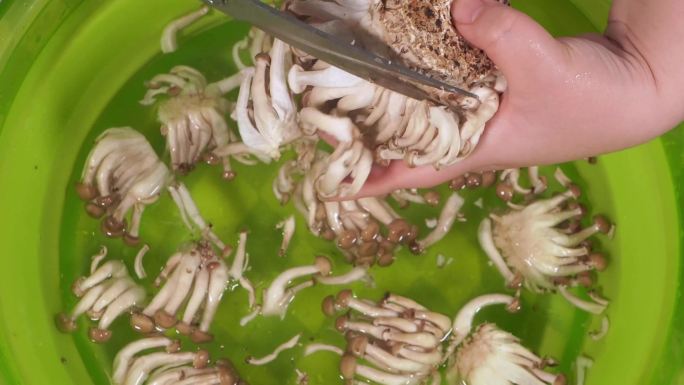 蟹味菇海鲜菇去根 (4)