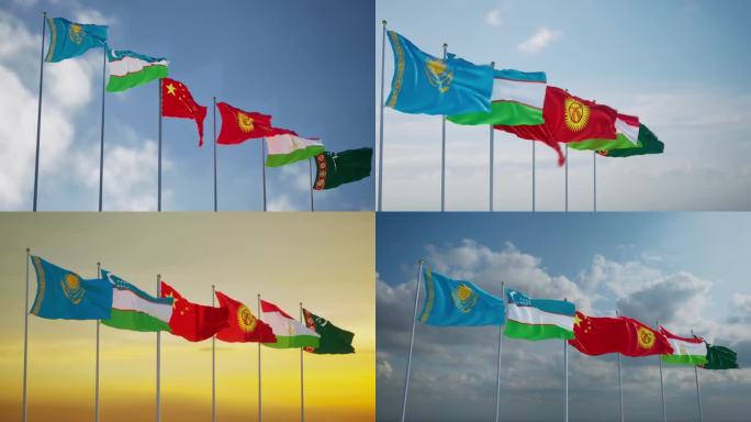 中亚五国峰会旗帜V1