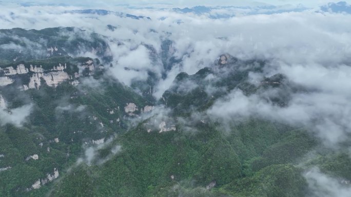 云雾飘渺芝兰谷2