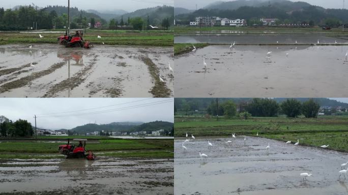 乡村风光  春分春耕  谷雨农田