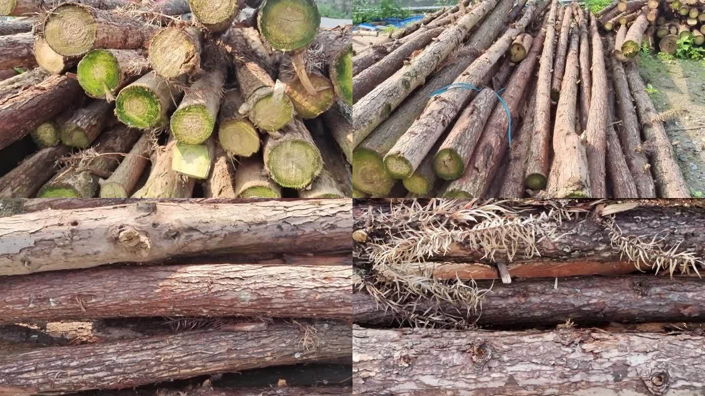 木材 木头 林业 原木树干木料 树木杉树