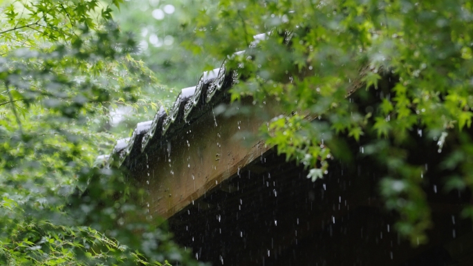 小满节气