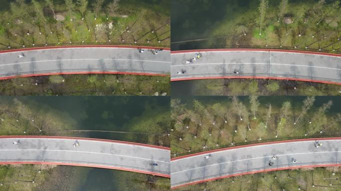 俯瞰环湖绿道骑行跑步锻炼的人横移