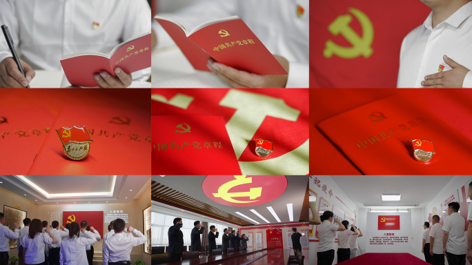 4K党徽党旗宣誓、100周年建党视频素材