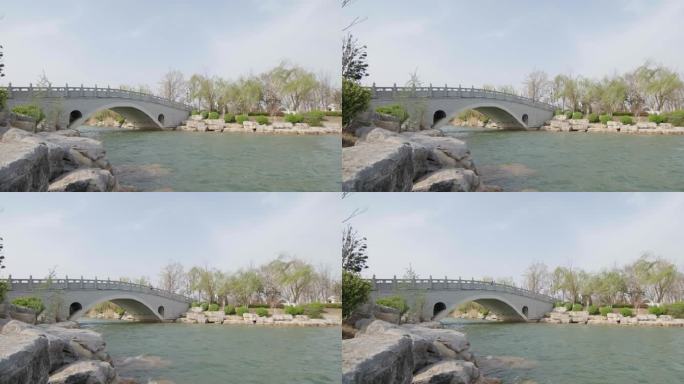 日月湖垂柳拱桥