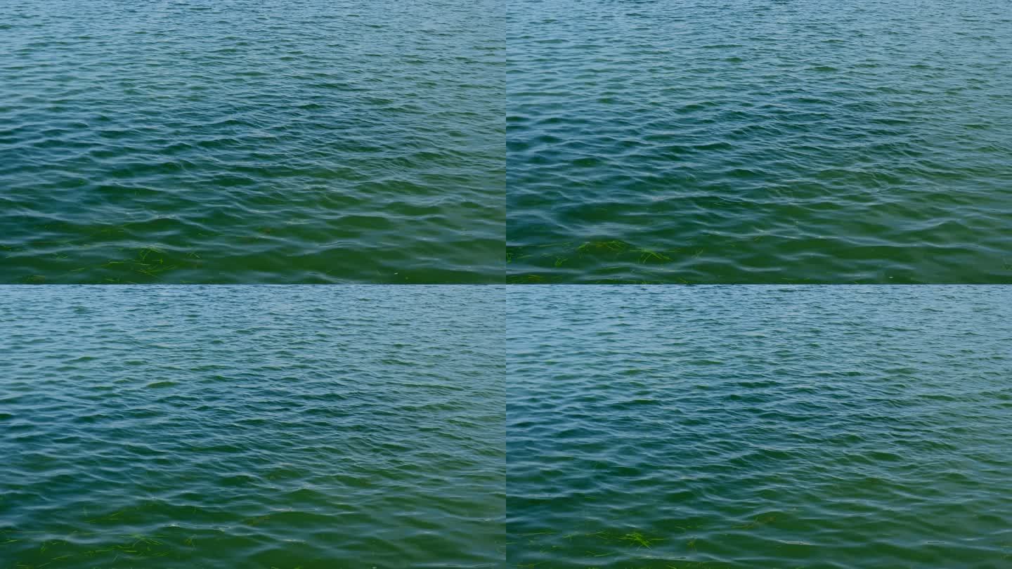 湖面 湖水 水波纹 水波荡漾