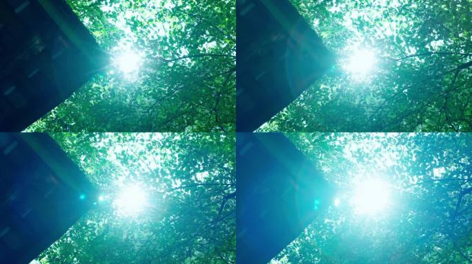 4k阳光透过树林洒向屋檐唯美空镜