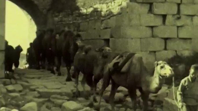20年代长城骆驼运输队贸易